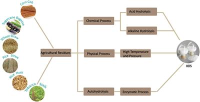 Xylo-Oligosaccharides, Preparation and Application to Human and Animal Health: A Review